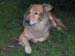 sindy_0003_0004