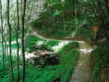 Naturpark Augsburg Westliche W�lder