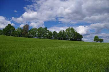 Naturpark Augsburg Westliche W�lder