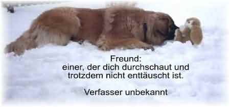 Ein_Freund